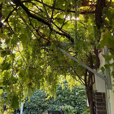 דירה Attic In A Listed *