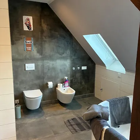 Attic In A Listed Appartement