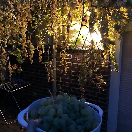 Attic In A Listed Appartement Hohenstein-Ernstthal
