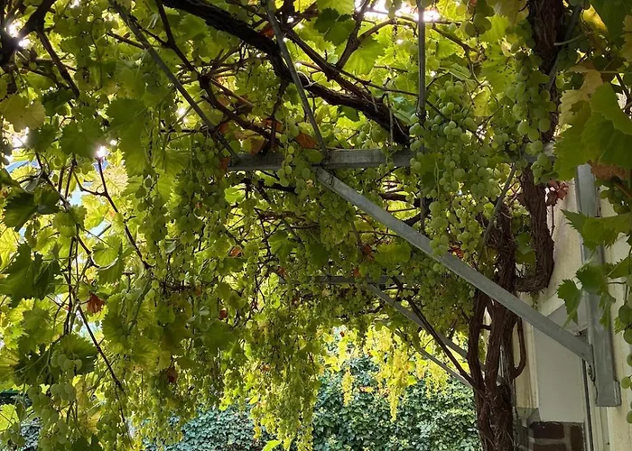 Apartament Attic In A Listed *