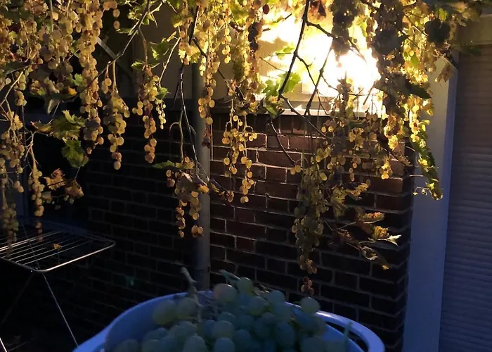 Attic In A Listed Apartament Hohenstein-Ernstthal